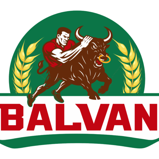 jsvfoodinternational.com